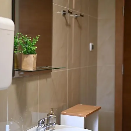 Sokobanja Smestaj Pavlovic & Privatan Parking