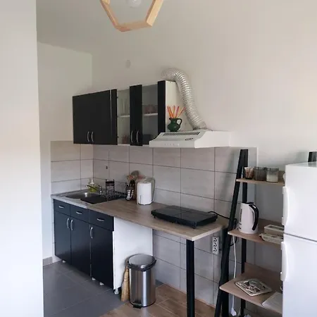 Sokobanja Smestaj Pavlovic & Privatan Parking 소코 반자