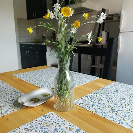 Sokobanja Smestaj Pavlovic & Privatan Parking 아파트 소코 반자