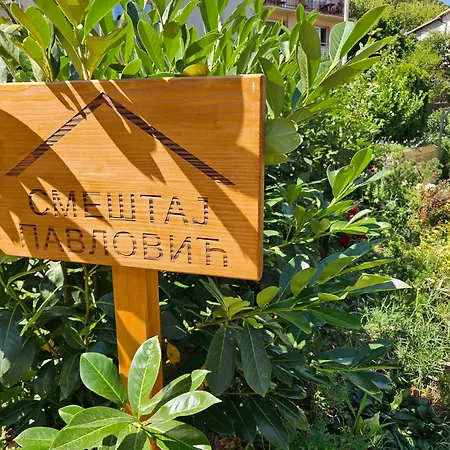 Sokobanja Smestaj Pavlovic & Privatan Parking *