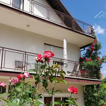 Smestaj Pavlovic & Privatan Parking Lägenhet Soko Banja