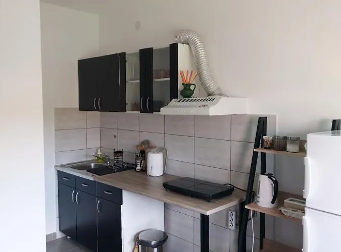 Smestaj Pavlovic & Privatan Parking Soko Banja