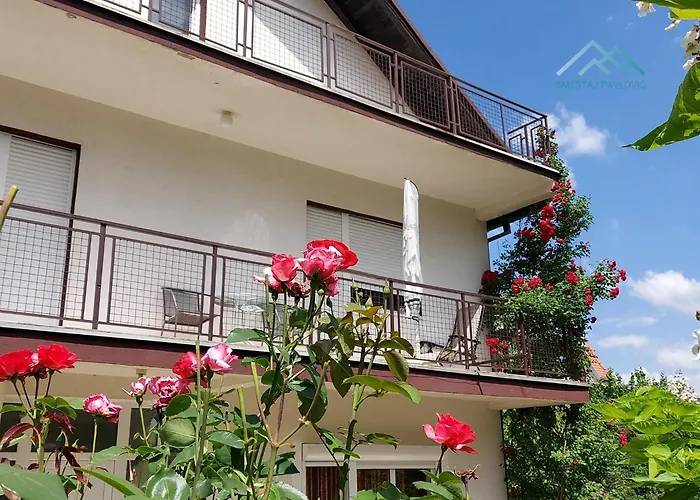 Smestaj Pavlovic & Privatan Parking Lägenhet Soko Banja