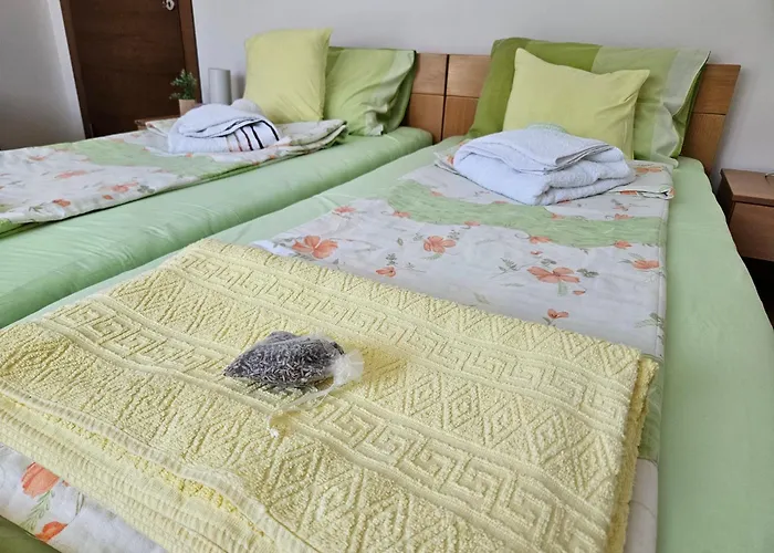 Smestaj Pavlovic & Privatan Parking *